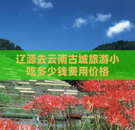 辽源去云南古城旅游小吃多少钱费用价格