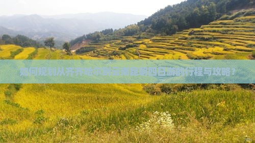 如何规划从齐齐哈尔到云南昆明四日游的行程与攻略？