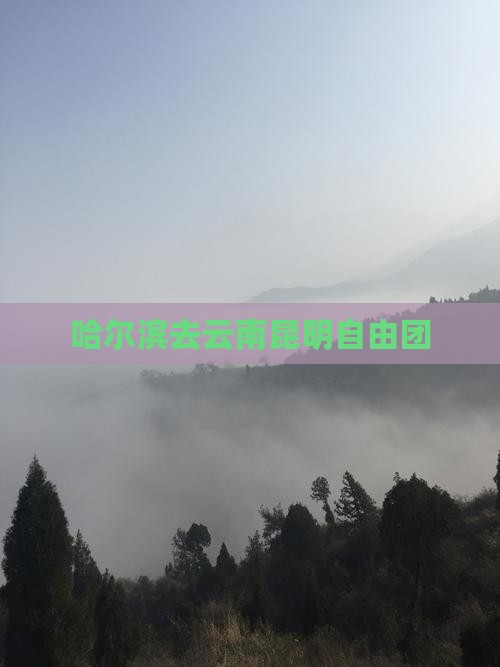 哈尔滨去云南昆明自由团