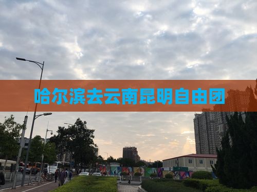 哈尔滨去云南昆明自由团