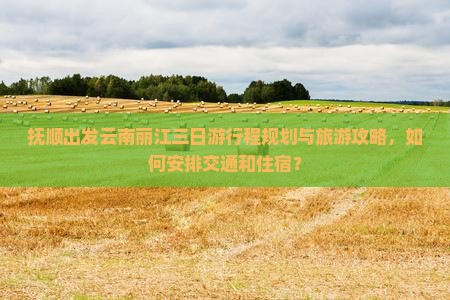 抚顺出发云南丽江三日游行程规划与旅游攻略，如何安排交通和住宿？