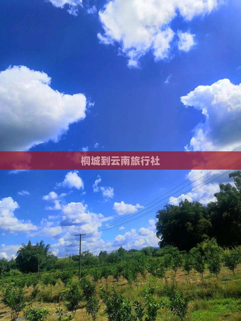 桐城到云南旅行社
