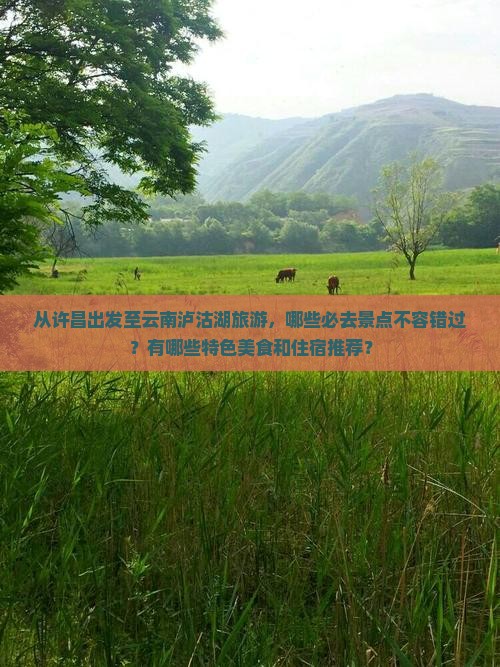 从许昌出发至云南泸沽湖旅游，哪些必去景点不容错过？有哪些特色美食和住宿推荐？