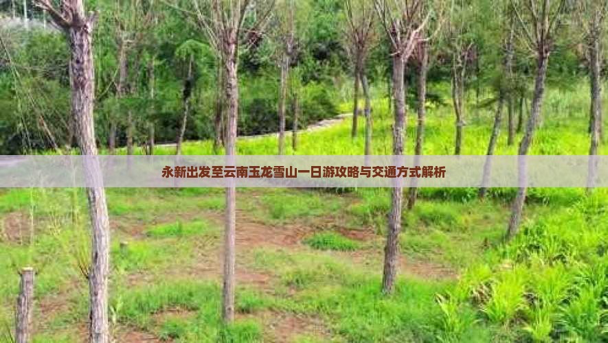 永新出发至云南玉龙雪山一日游攻略与交通方式解析