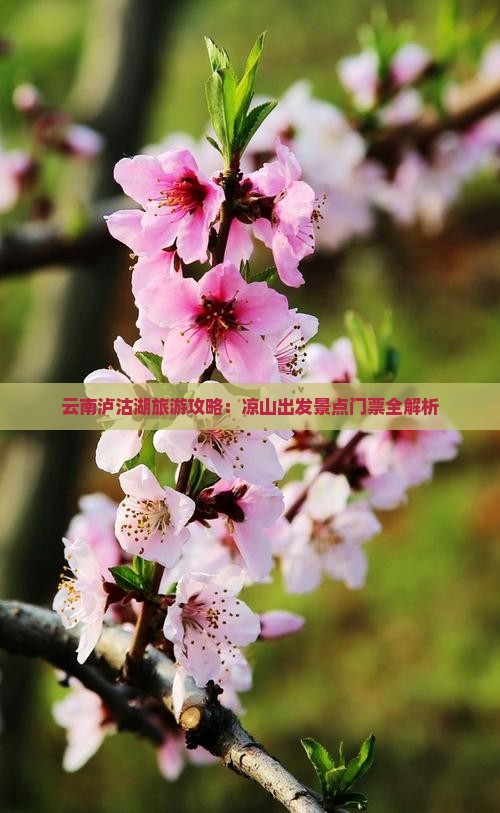 云南泸沽湖旅游攻略：凉山出发景点门票全解析