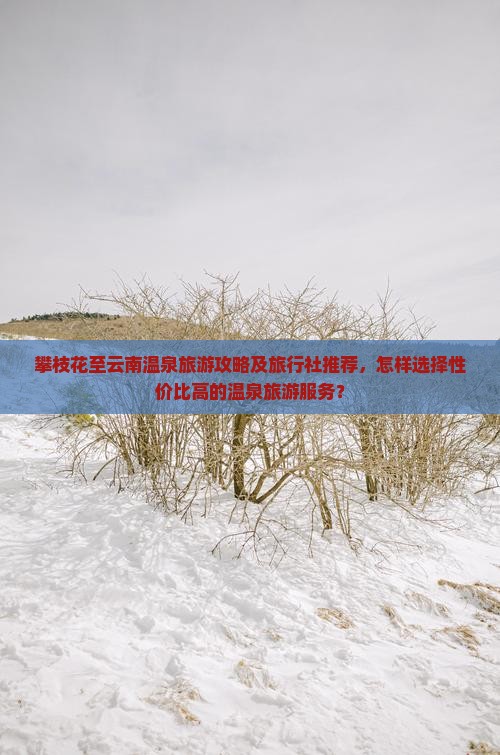 攀枝花至云南温泉旅游攻略及旅行社推荐，怎样选择性价比高的温泉旅游服务？