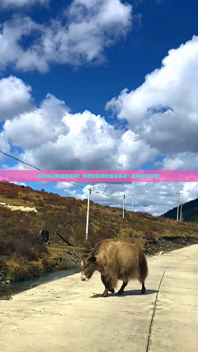 松原去云南温泉旅游？有哪些推荐的温泉景点？如何安排行程？