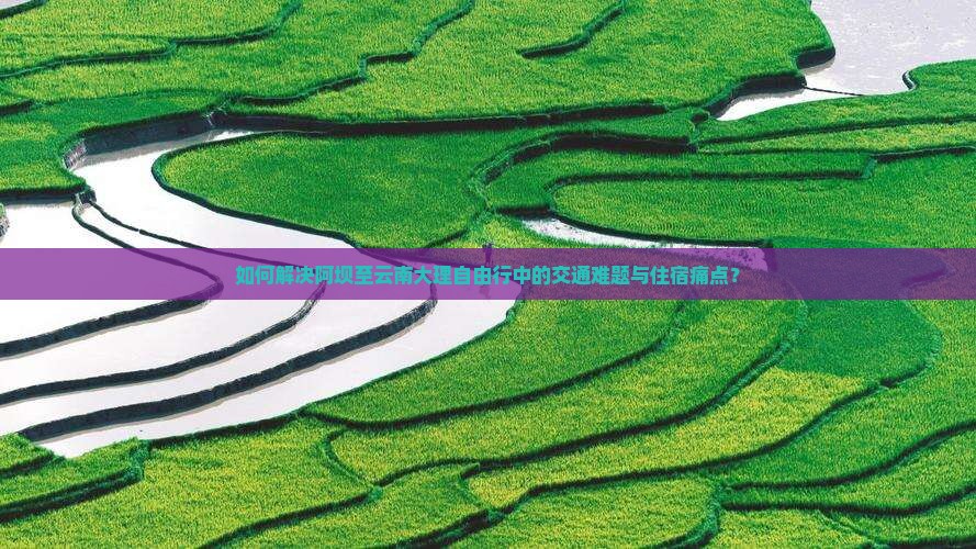 如何解决阿坝至云南大理自由行中的交通难题与住宿痛点？