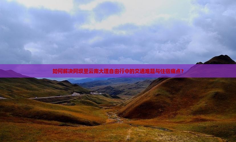 如何解决阿坝至云南大理自由行中的交通难题与住宿痛点？