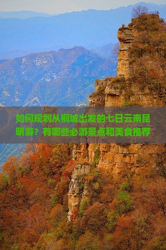 如何规划从桐城出发的七日云南昆明游？有哪些必游景点和美食推荐？