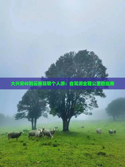 大兴安岭到云南昆明个人游：自驾游全程公里数指南