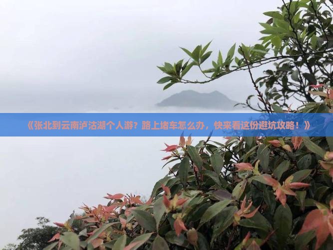 《张北到云南泸沽湖个人游？路上堵车怎么办，快来看这份避坑攻略！》