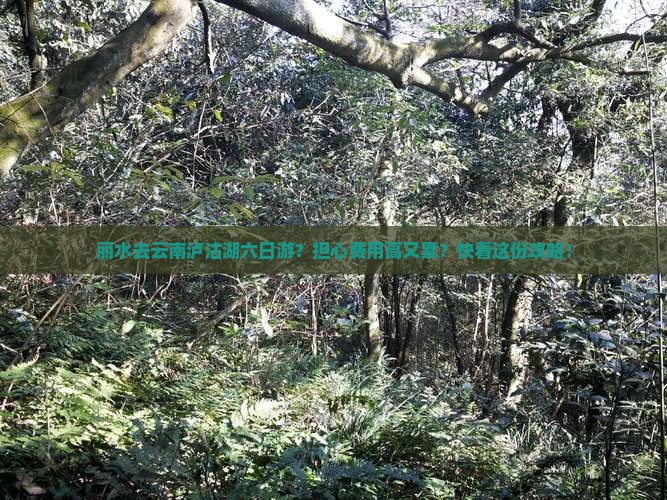丽水去云南泸沽湖六日游？担心费用高又累？快看这份攻略！
