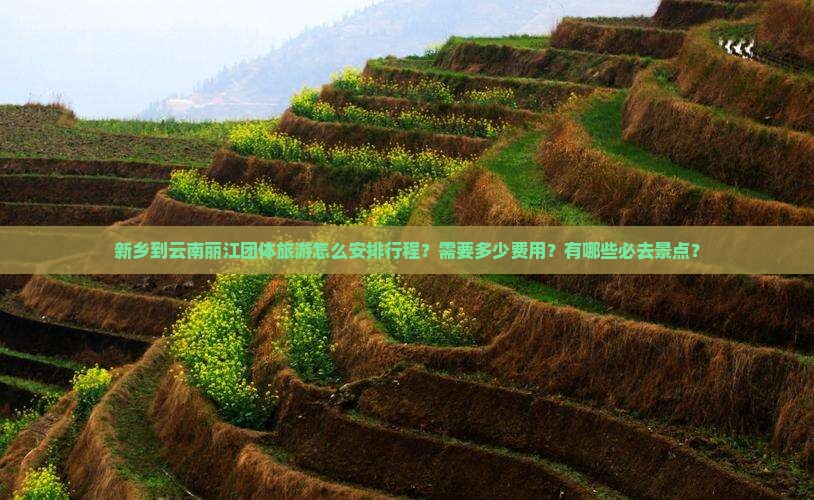 新乡到云南丽江团体旅游怎么安排行程？需要多少费用？有哪些必去景点？