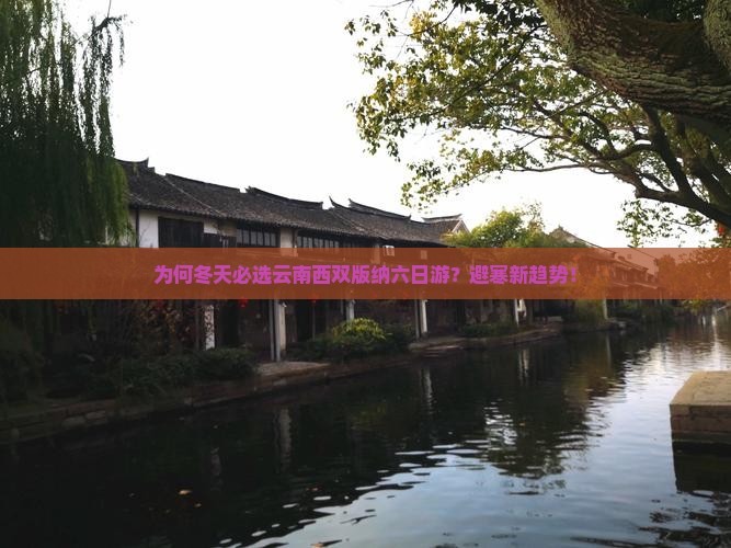 为何冬天必选云南西双版纳六日游？避寒新趋势！