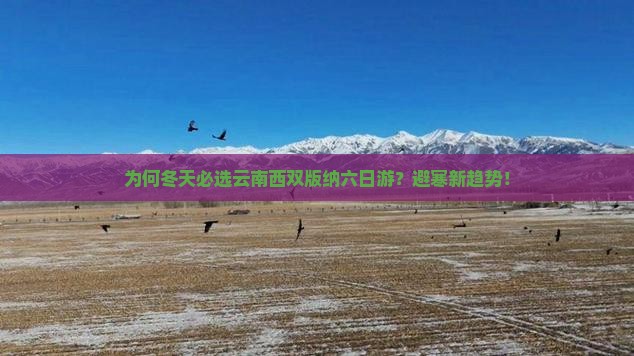 为何冬天必选云南西双版纳六日游？避寒新趋势！