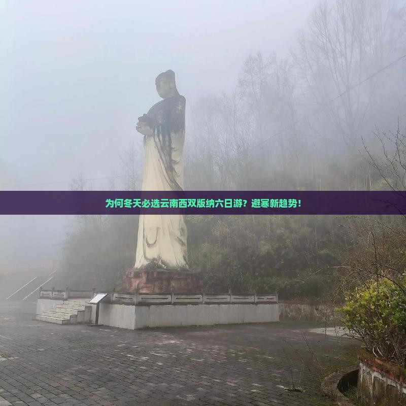 为何冬天必选云南西双版纳六日游？避寒新趋势！