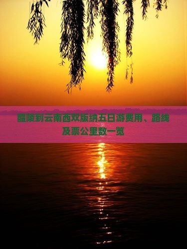 醴陵到云南西双版纳五日游费用、路线及票公里数一览