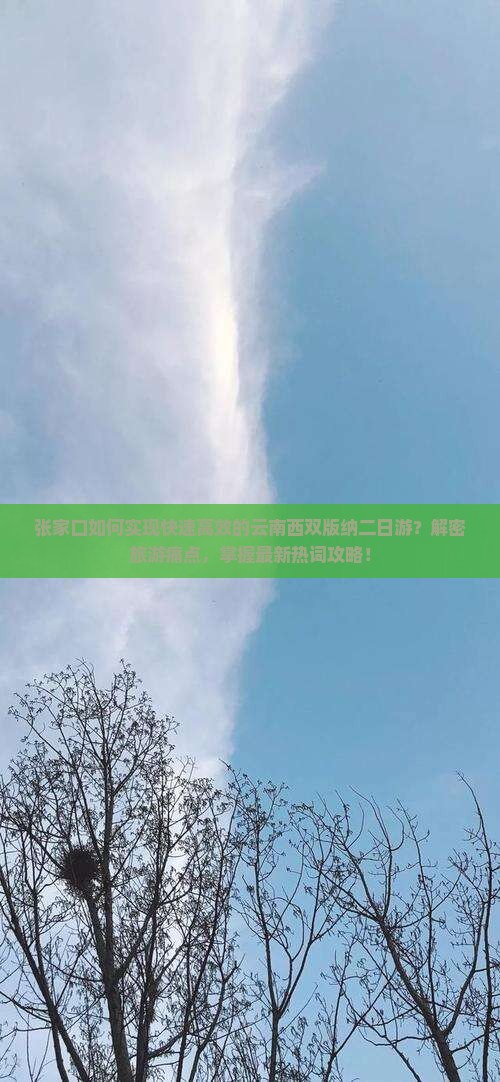 张家口如何实现快速高效的云南西双版纳二日游？解密旅游痛点，掌握最新热词攻略！