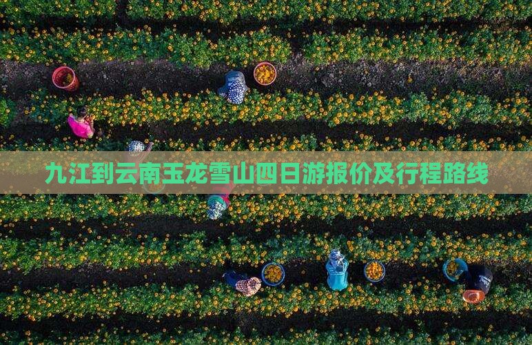 九江到云南玉龙雪山四日游报价及行程路线