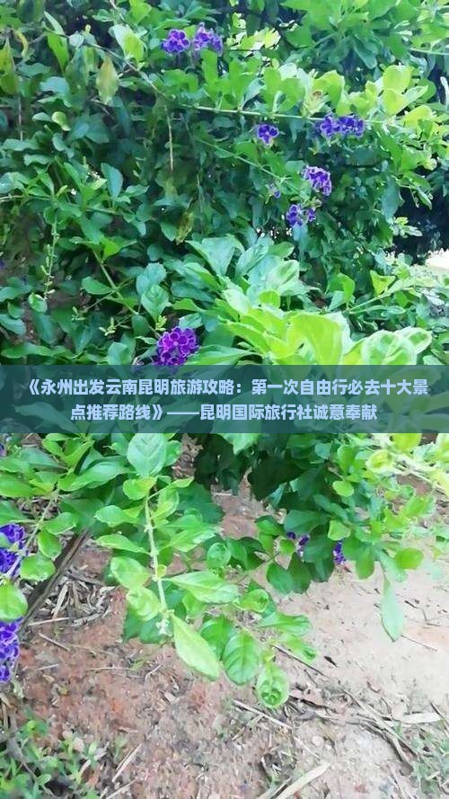 《永州出发云南昆明旅游攻略：第一次自由行必去十大景点推荐路线》——昆明国际旅行社诚意奉献