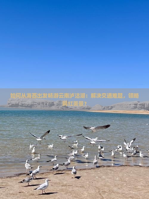 如何从海西出发畅游云南泸沽湖：解决交通难题，领略网红美景？