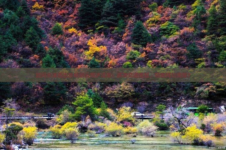 如何从海西出发畅游云南泸沽湖：解决交通难题，领略网红美景？