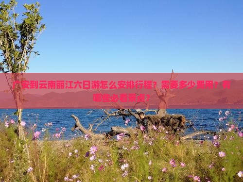 广安到云南丽江六日游怎么安排行程？需要多少费用？有哪些必看景点？