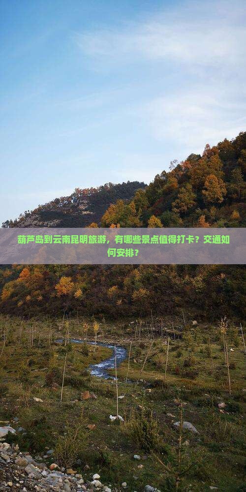 葫芦岛到云南昆明旅游，有哪些景点值得打卡？交通如何安排？