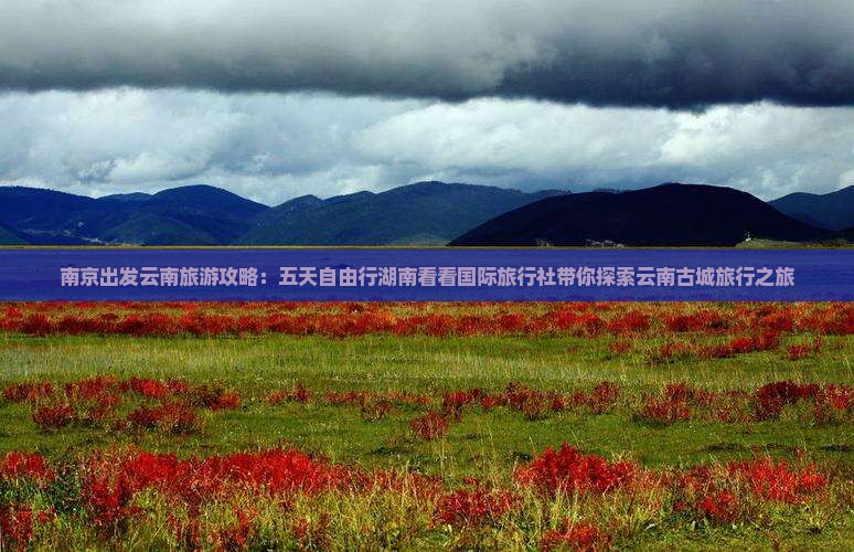 南京出发云南旅游攻略：五天自由行湖南看看国际旅行社带你探索云南古城旅行之旅
