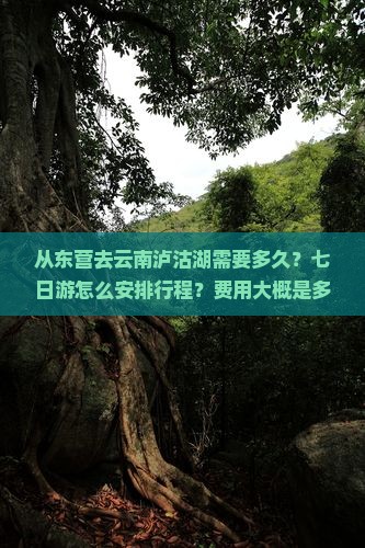 从东营去云南泸沽湖需要多久？七日游怎么安排行程？费用大概是多少？