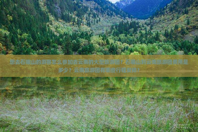 想去石嘴山的游客怎么参加去云南的大型旅游团？石嘴山到云南旅游团费用是多少？云南旅游团有哪些行程安排？