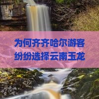 为何齐齐哈尔游客纷纷选择云南玉龙雪山？痛点与热门新词背后的旅行！