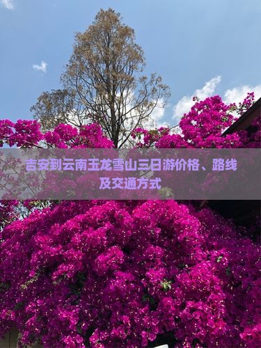 吉安到云南玉龙雪山三日游价格、路线及交通方式