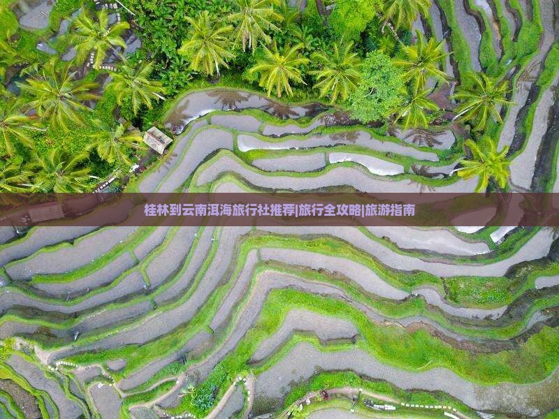 桂林到云南洱海旅行社推荐|旅行全攻略|旅游指南