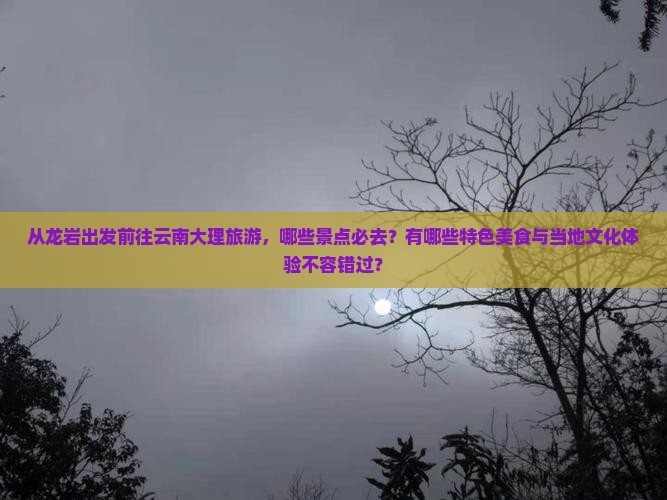 从龙岩出发前往云南大理旅游，哪些景点必去？有哪些特色美食与当地文化体验不容错过？