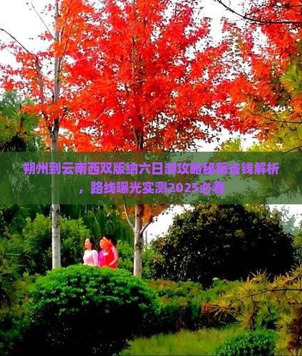 朔州到云南西双版纳六日游