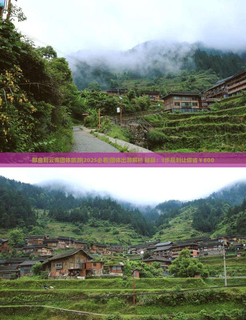 那曲到云南团体旅游
