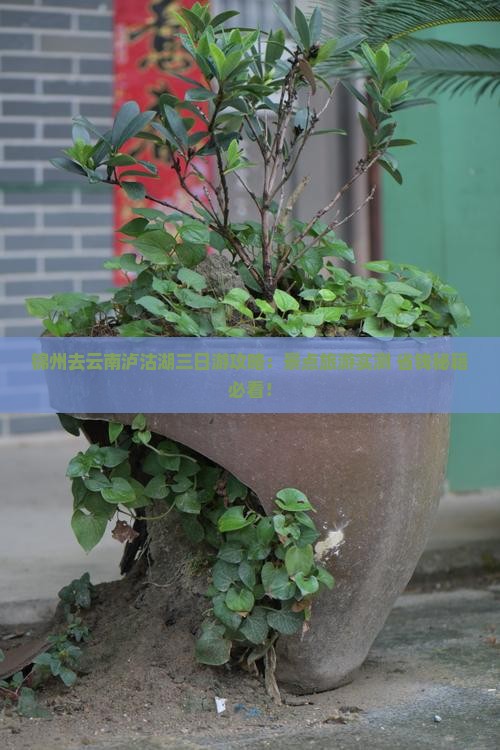 锦州去云南泸沽湖三日游