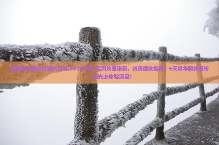 铜陵到云南泸沽湖六日游