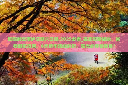 铜陵到云南泸沽湖六日游