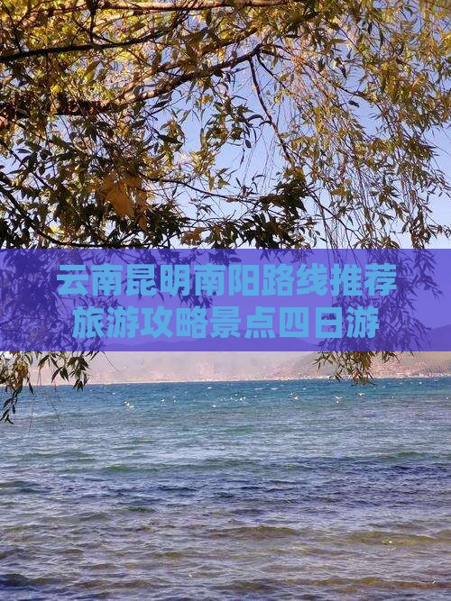 南阳去云南昆明四日游 南阳去云南昆明四日游