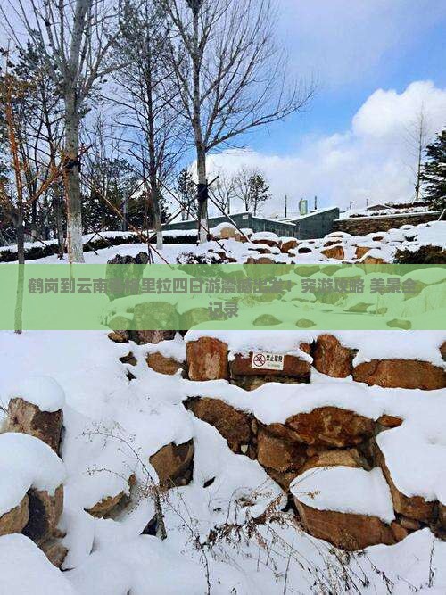 鹤岗到云南香格里拉四日游