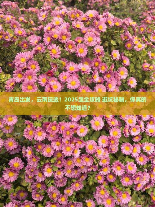 青岛到云南大型旅游团