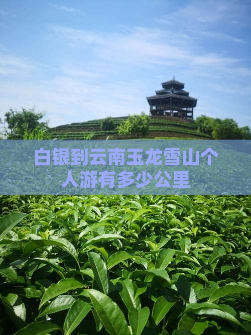 白银到云南玉龙雪山个人游