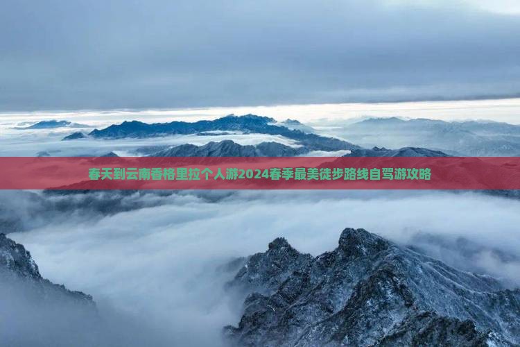 春天到云南香格里拉个人游