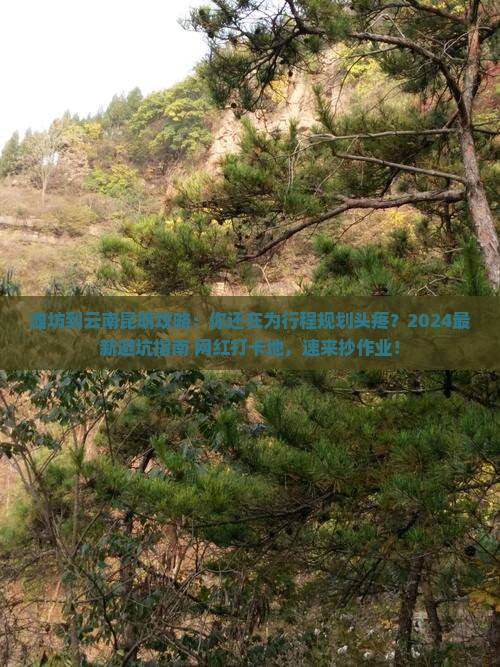 潍坊到云南昆明攻略