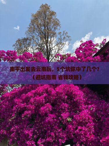 南平到云南旅行社