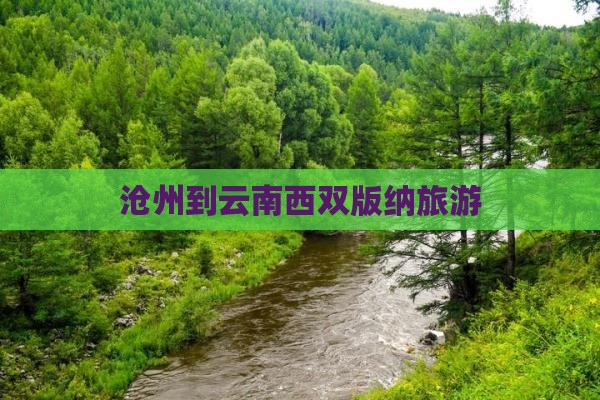 沧州到云南西双版纳旅游
