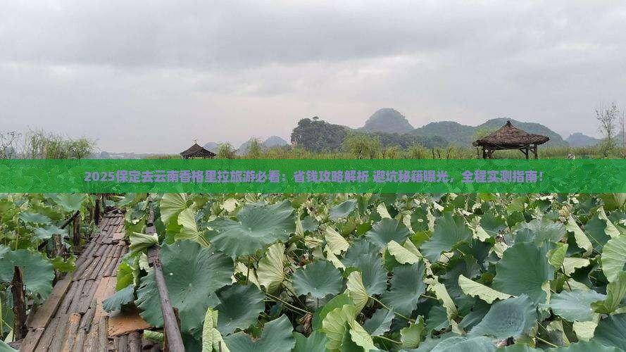 保定去云南香格里拉旅游